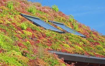 Bourne End living roof systems